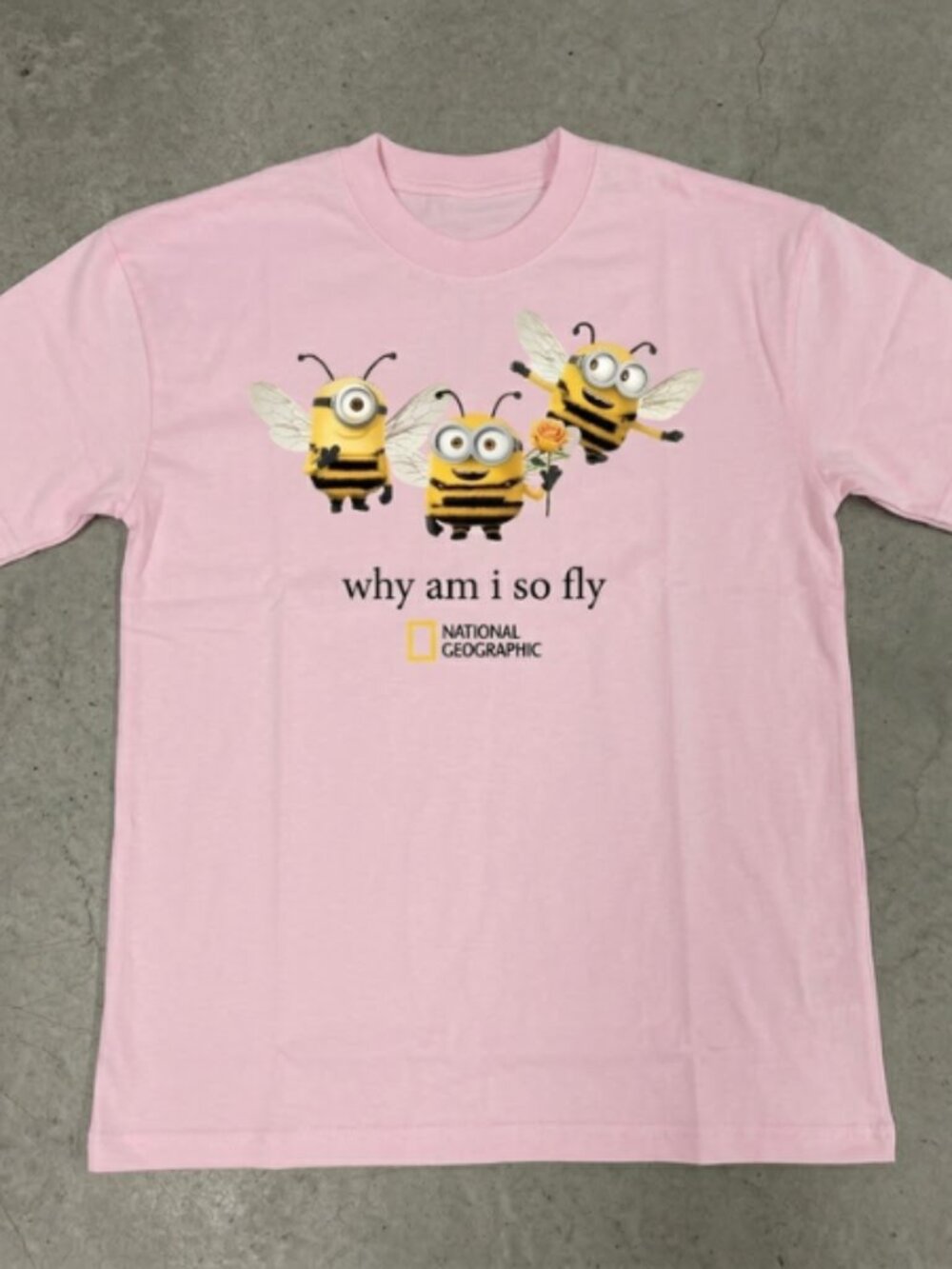 Cute & Funny Minion Bee 'Why Am I So Fly' Graphic T-Shirt